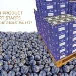 Cardboard Pallets for Fresh Produce Export - GreenOx Cardboards Pallets