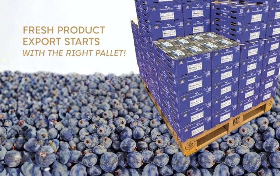 Cardboard Pallets for Fresh Produce Export - GreenOx Cardboards Pallets