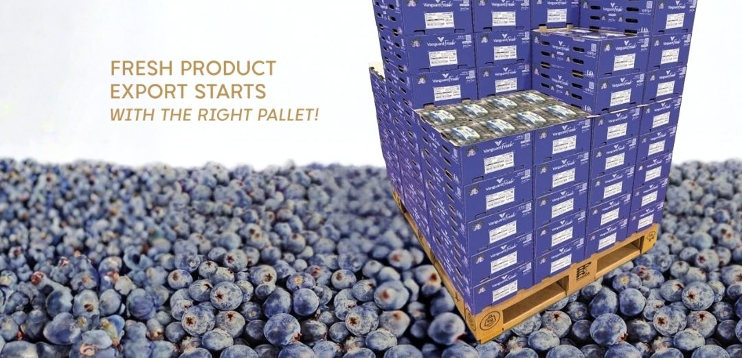 Cardboard Pallets for Fresh Produce Export - GreenOx